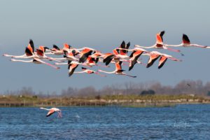 [Parlami di tER] Il paradiso del Delta del Po