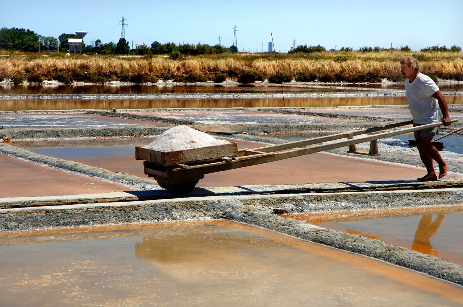 Cervia's Salt mines | The manual picking of salt