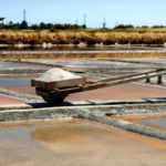 Cervia Saltpans | Ph. Cervia Turismo