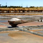 Saline di Cervia, raccolta manuale del sale
Ph. Comune di Cervia