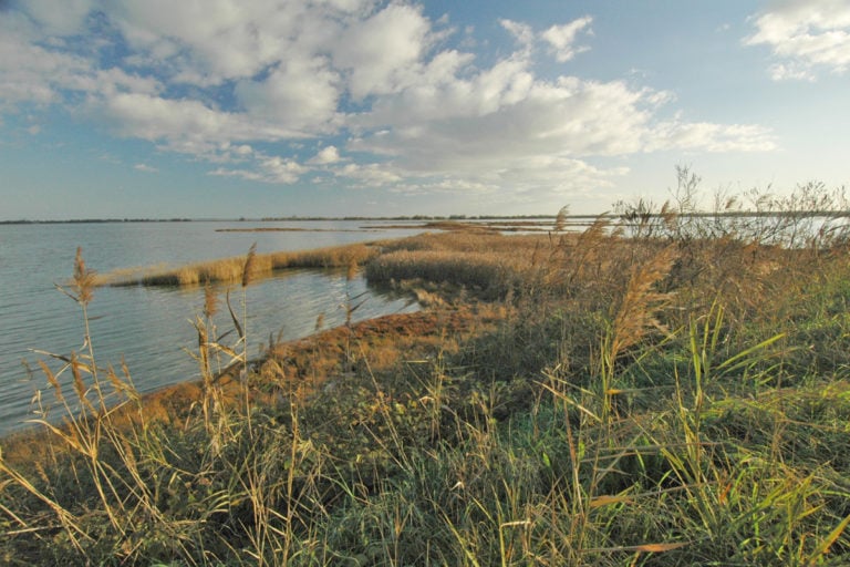 The Peninsula of Boscoforte, an oasis between Comacchio and Ravenna