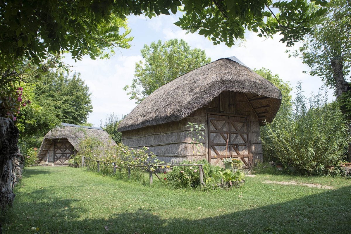 Along the Lamone River | Ecomuseum of Marshland Civilization (Villanova di Bagnacavallo)