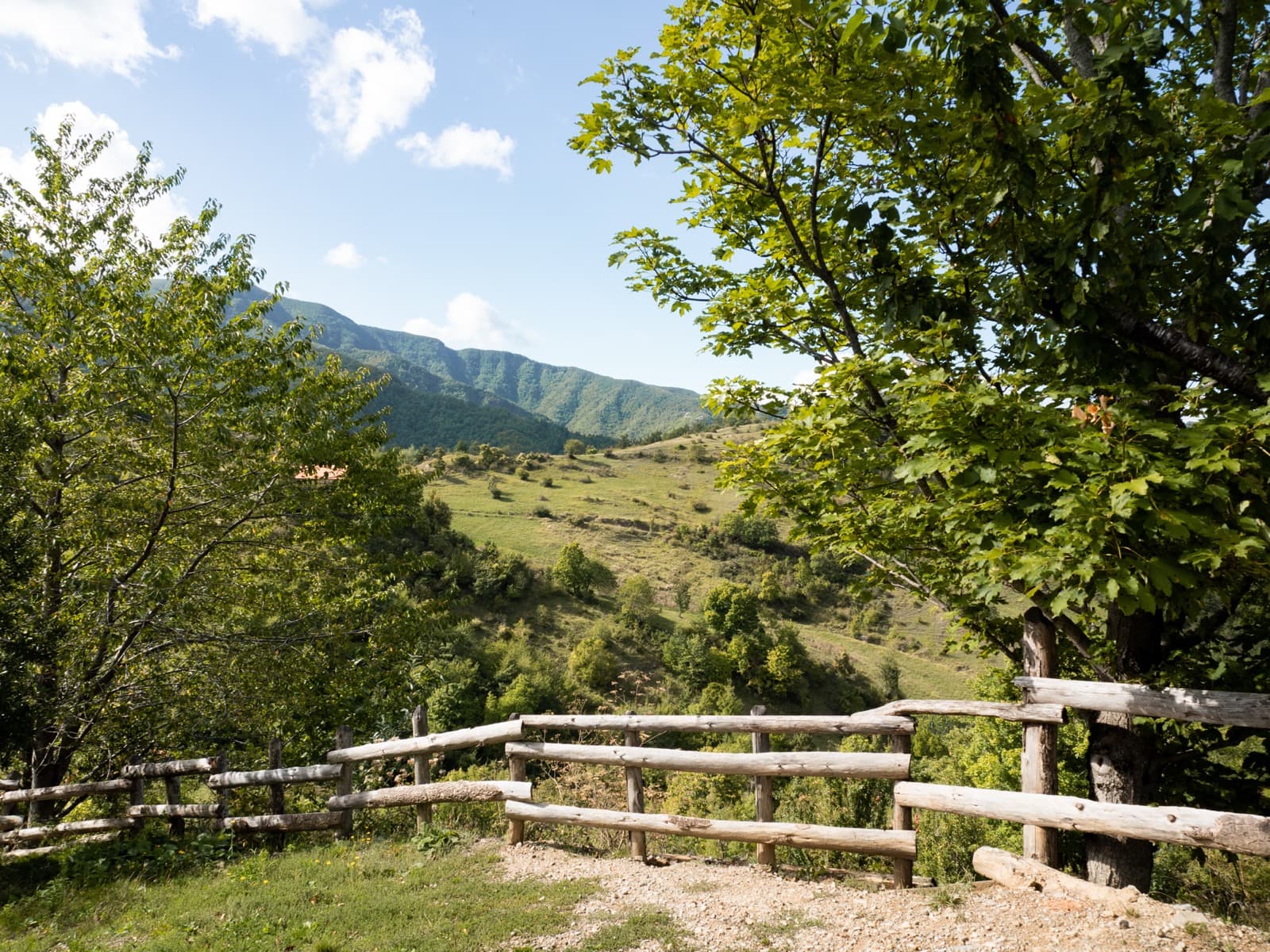 The Foreste Casentinesi, Monte Falterona and Campigna National Park