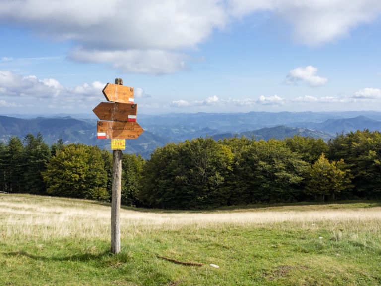 Get active and take a break in Foreste Casentinesi, close to Florence