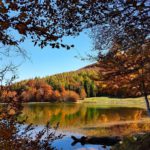 Fall Foliage, Lago del Ventasso | ph. @brigittalosi