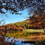 Fall Foliage, Lago del-ventasso-ph.-@brigittalosi.jpg