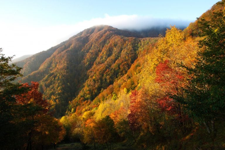 Fall Foliage in Emilia-Romagna