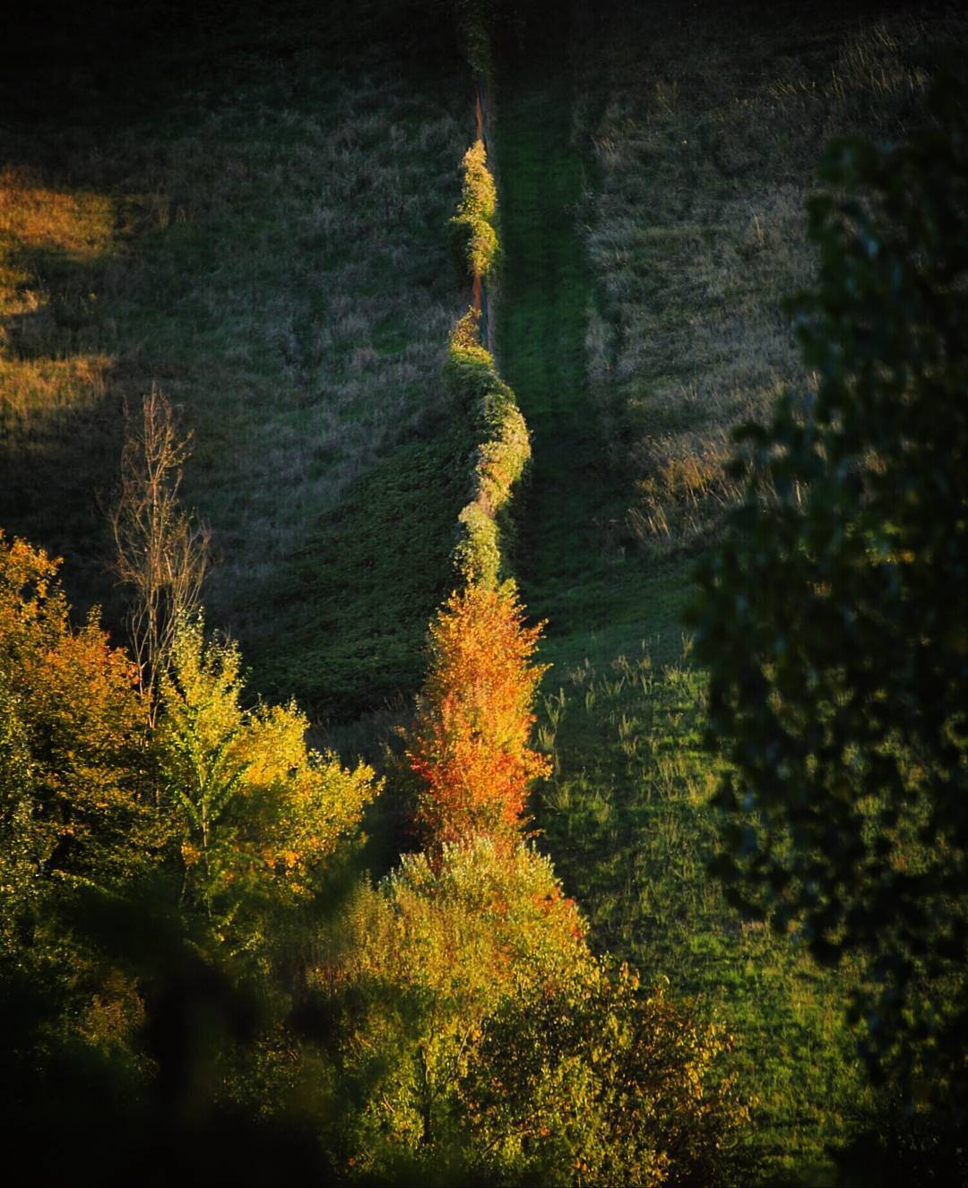 Fall Foliage #InEmiliaRomagna colli bolognesi ph. ilaria.dicocco