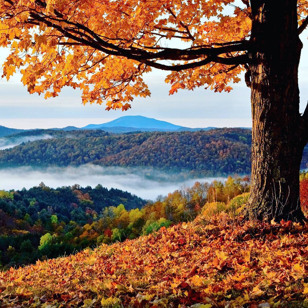 Fall Foliage #InEmiliaRomagna foreste casentinesi ph. followselect