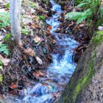 Fanano (MO), Cascate del Doccione – particolare, ph. Claudia Golinelli