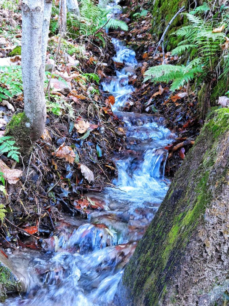 [Parlami di tER] Trekking sull’Appennino modenese: alla scoperta delle cascate del Doccione