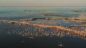 Privato: L’Autunno è Slow nel Parco del Delta del Po