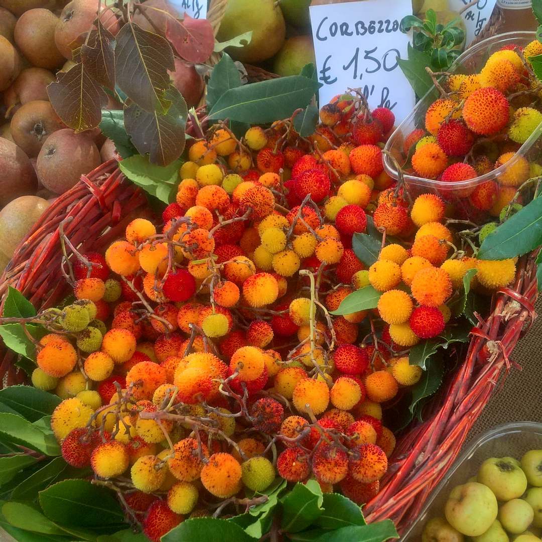 Festa dei Frutti Dimenticati, Casola Valsenio Ph. @casolano56