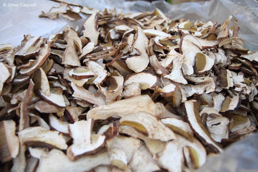 Funghi, Fiera del Tartufo di Sant'Agata Feltria Ph. @OmarCappelli