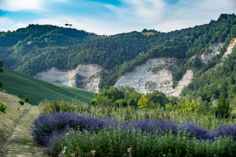 Alla scoperta degli Orti Botanici dell’Emilia Romagna