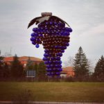 Grappolo gigante, Erio Carnevali
Ph. @nostramodena via Instagram