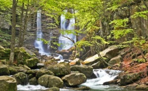 5 angoli naturali da scoprire in Emilia Romagna