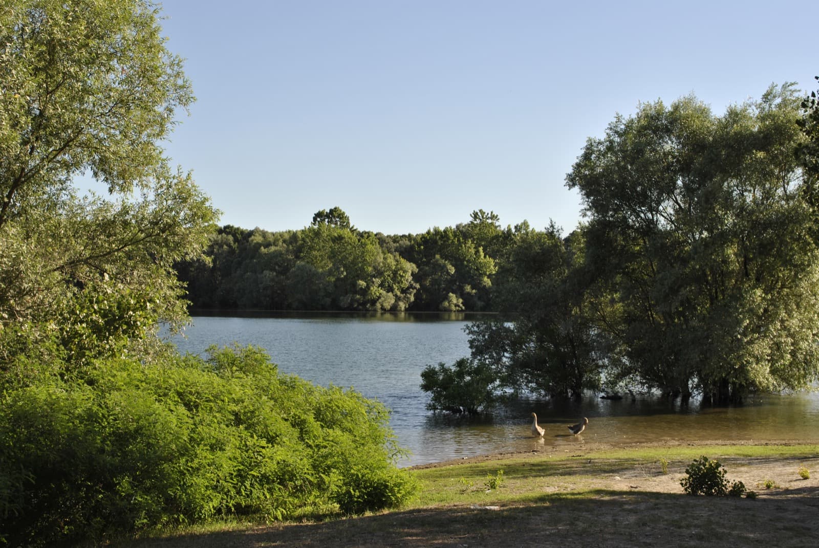 Isola Giarola, Villanova sull'Arda (PC)