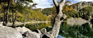 Il Parco Nazionale dell’Appennino Tosco Emiliano