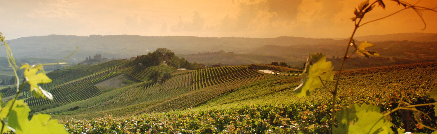 Lambrusco Hills - Ph. Consorzio Tutela Lambrusco di Modena