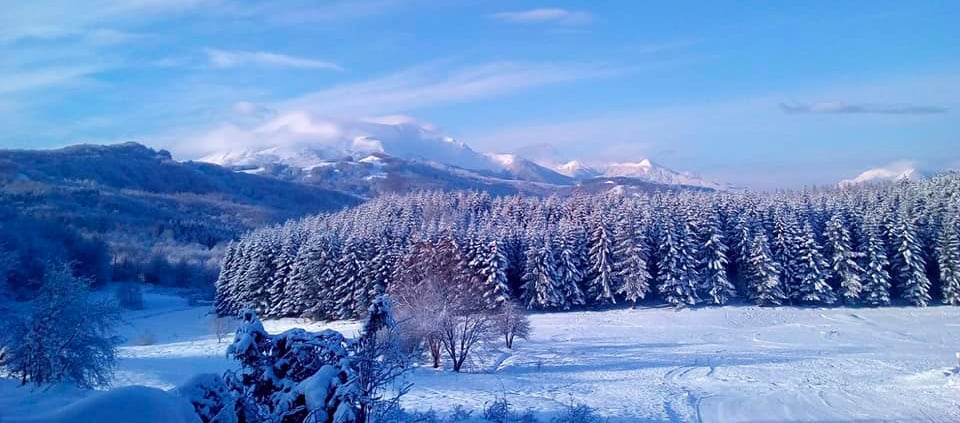 Snowshoeing in Emilia Romagna - Parma Apennines