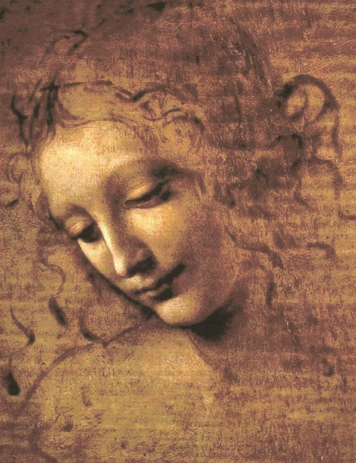 Leonardo da Vinci's La Scapigliata