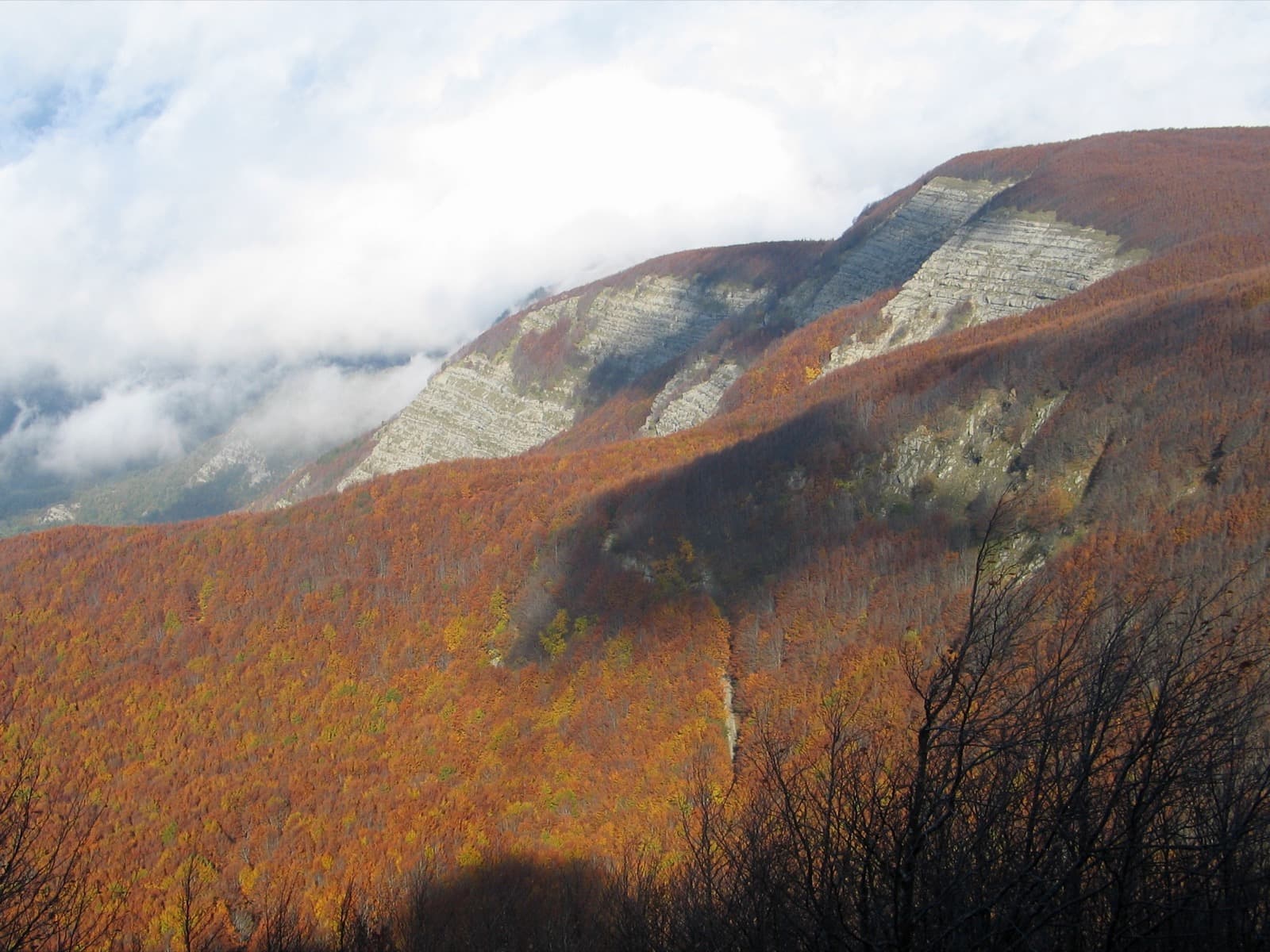 Monte Falterona dalla cima del Monte Falco Ph. Elwhajeff via Wiki