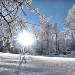 Monte Fumaiolo, neve Ph. @aquila68