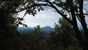 [Parlami di tER #84] Appennino bolognese, per trovare “quello di cui si ha bisogno”