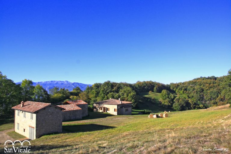 I Musei dell’Appennino Emiliano