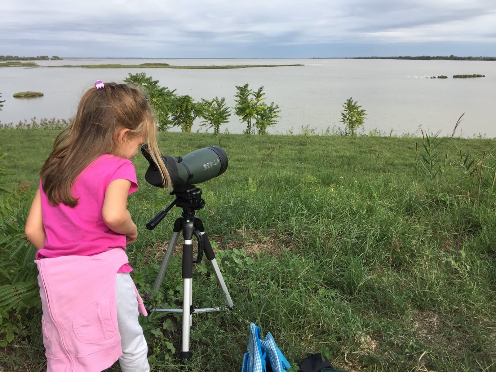 Birdwatching at Po Delta Park | Ph. Museo NatuRA