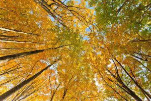 Wiki Loves Earth in Emilia-Romagna