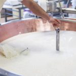 Parmigiano Reggiano, processo produttivo | Credit: Camilla Bertuzzi