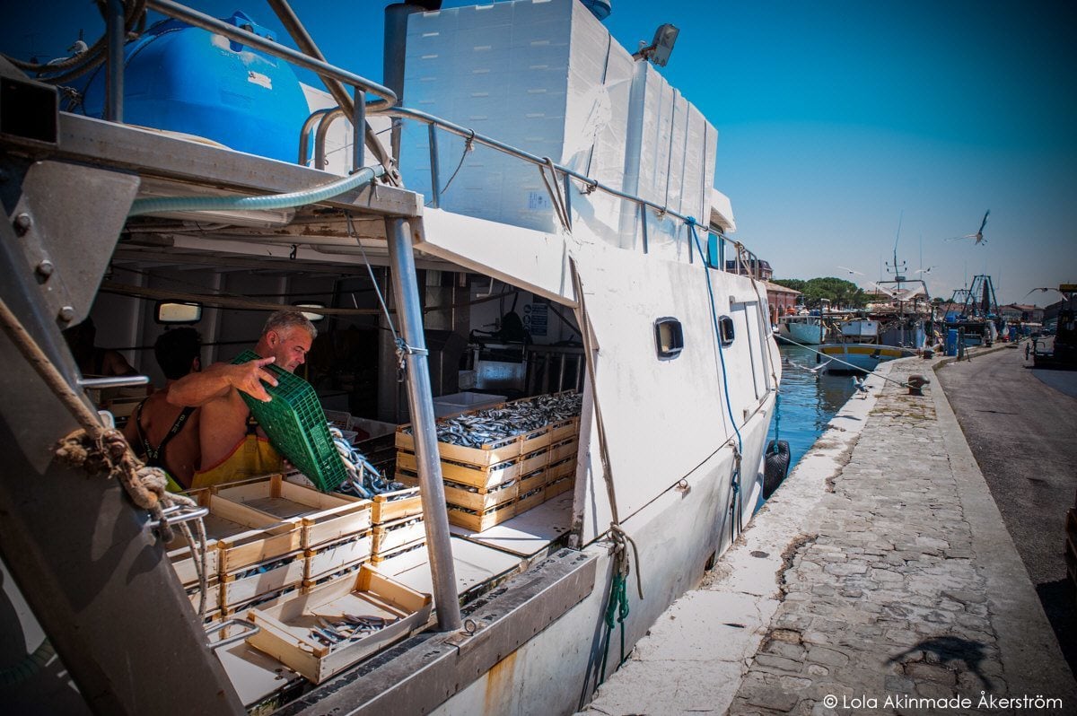 Cesenatico (Ravenna), Fishermen