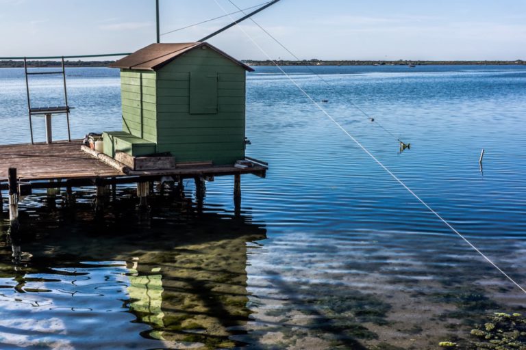 Meraviglie della natura: 5 luoghi di Ravenna da visitare