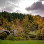 Premilcuore Ponte Romano presso Grotta Urlante – Vie di Dante