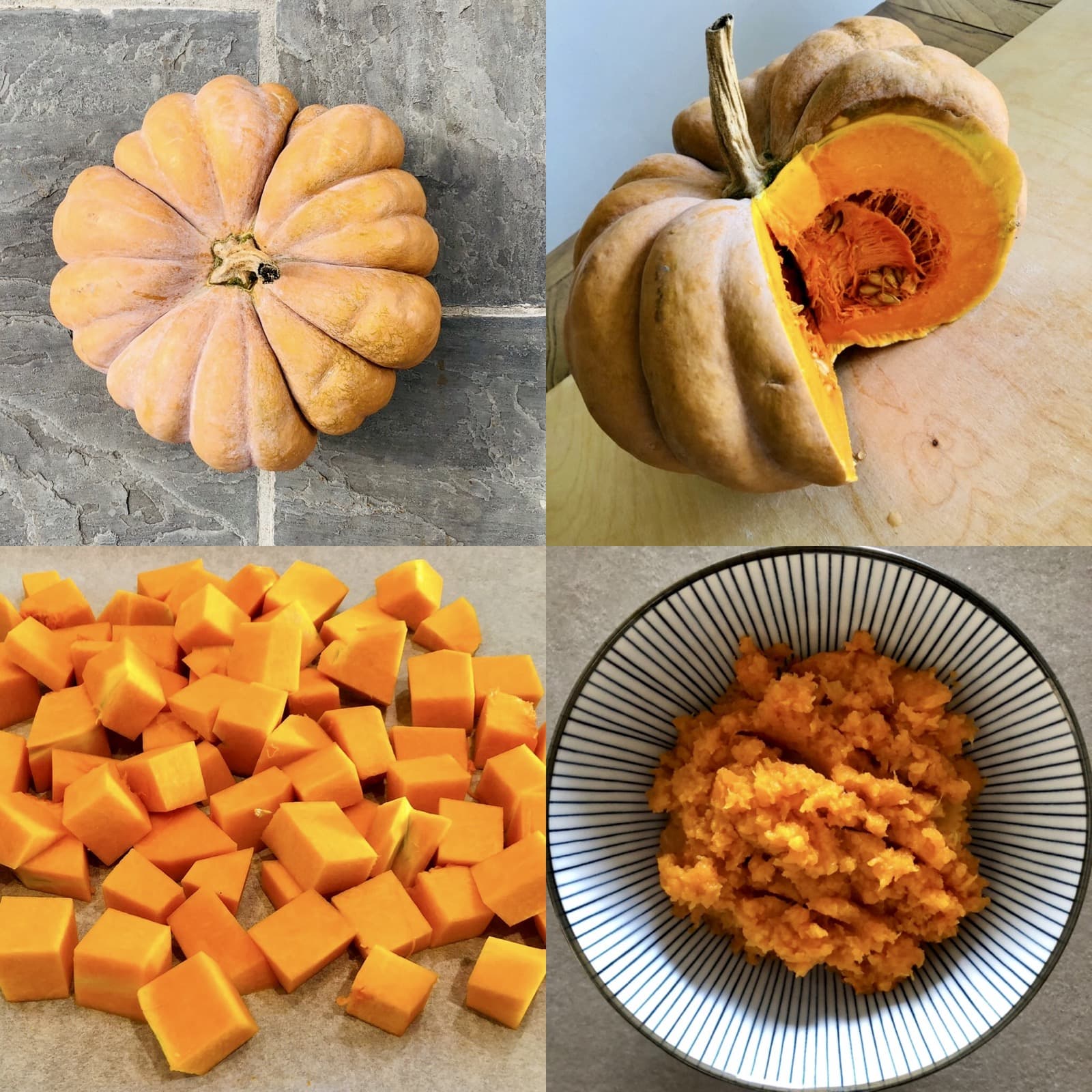 Pumpkin Prep Ph. FedeCortezzi.