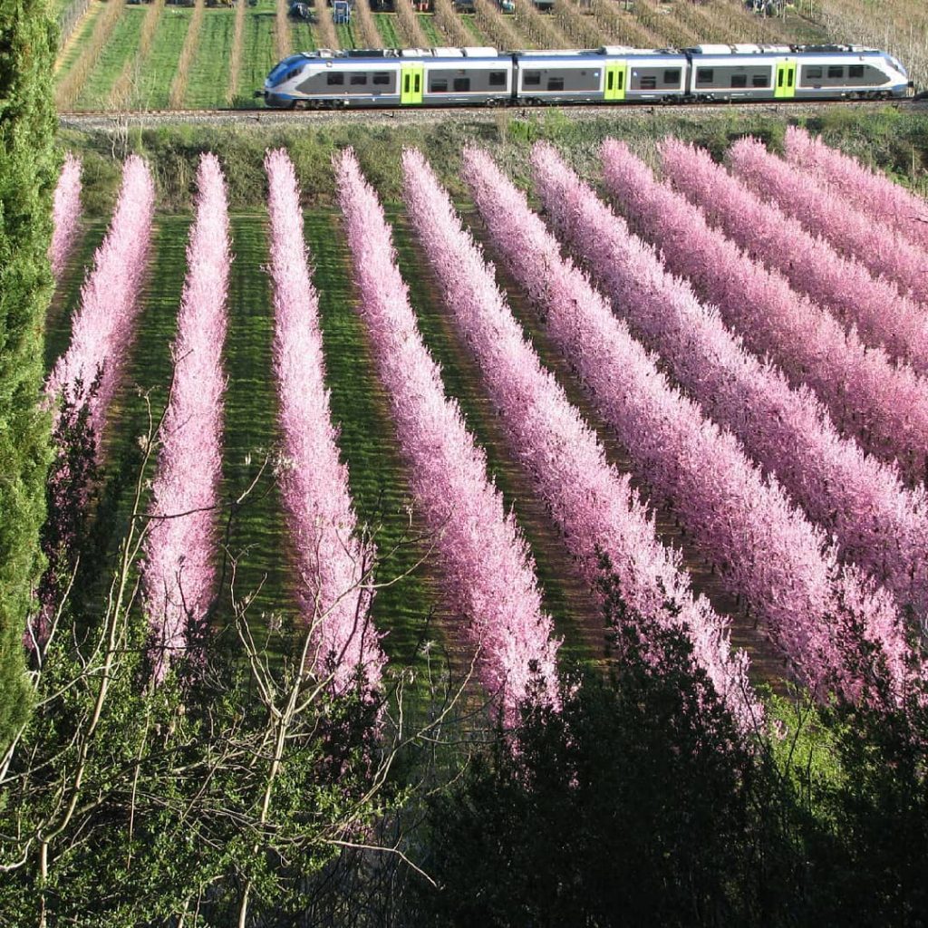 Train Faenza-Firenze | Ph.laurabaccarini