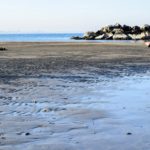 La Riviera in inverno | Ph. Anita Degli Esposti