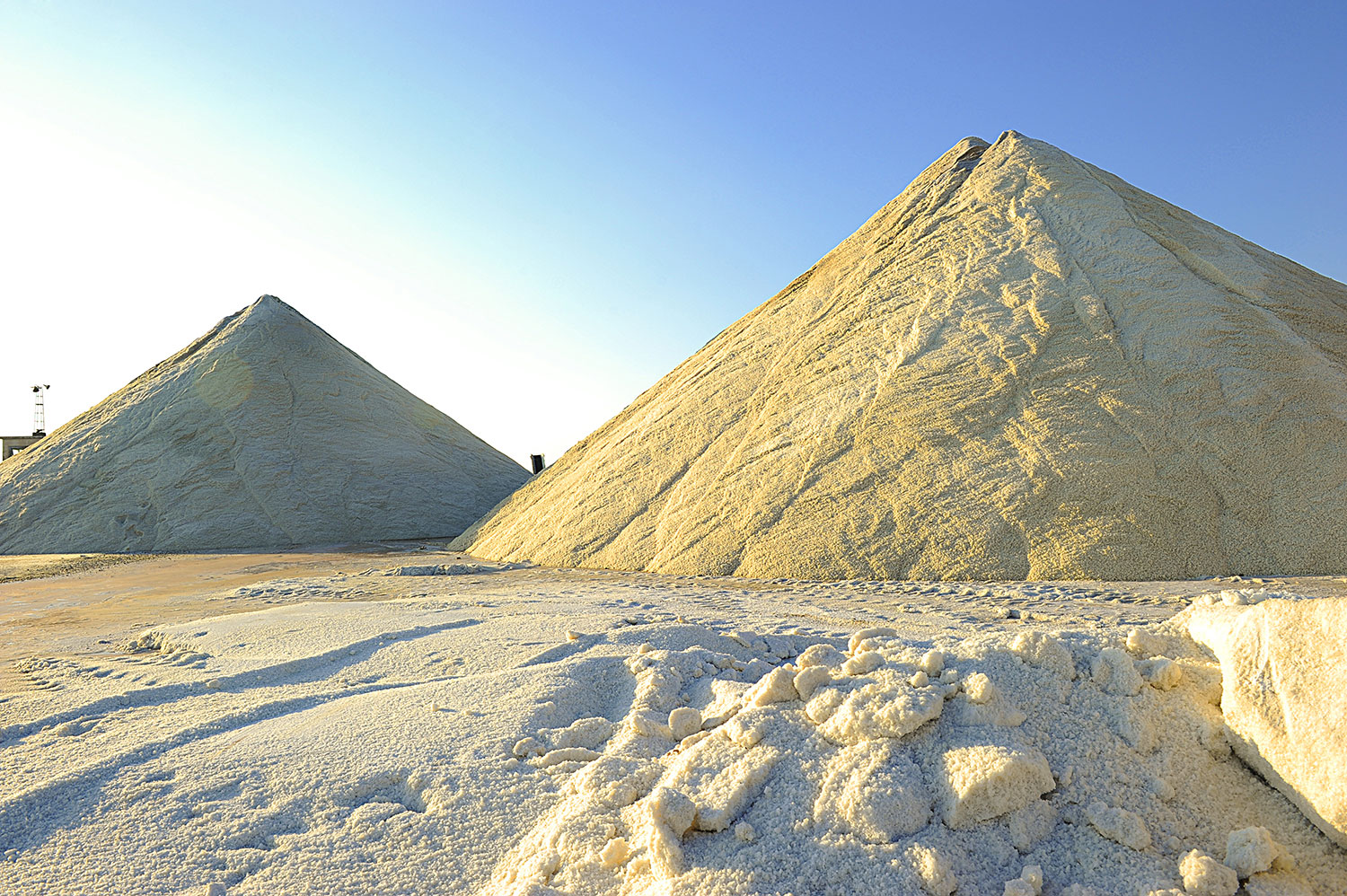 Saline di Cervia | La raccolta del Sale