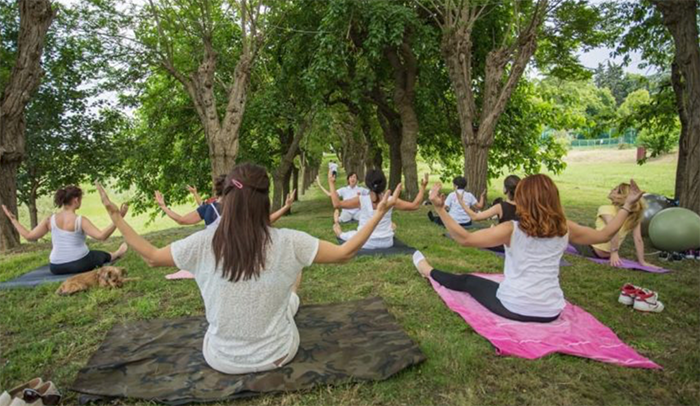 Meditation in the park - WellnessWeek