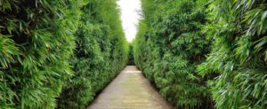 Giardini e parchi storici in Emilia Romagna