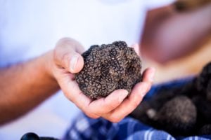 Emilia Romagna Truffles | The Italy Foodie Guide