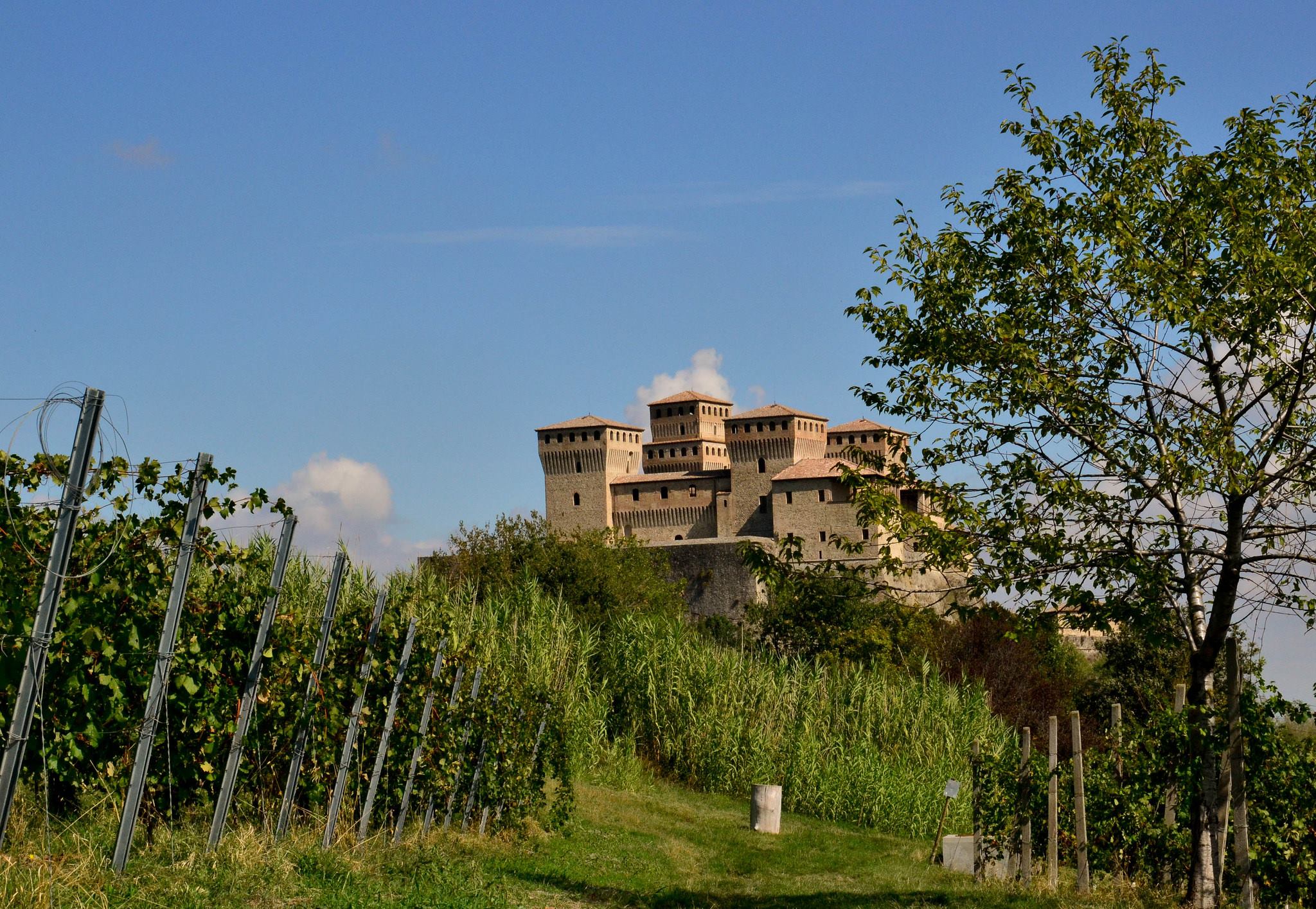 Parma's Malvasia, vineyards and castles - Ph. Parma City of Gastronomy