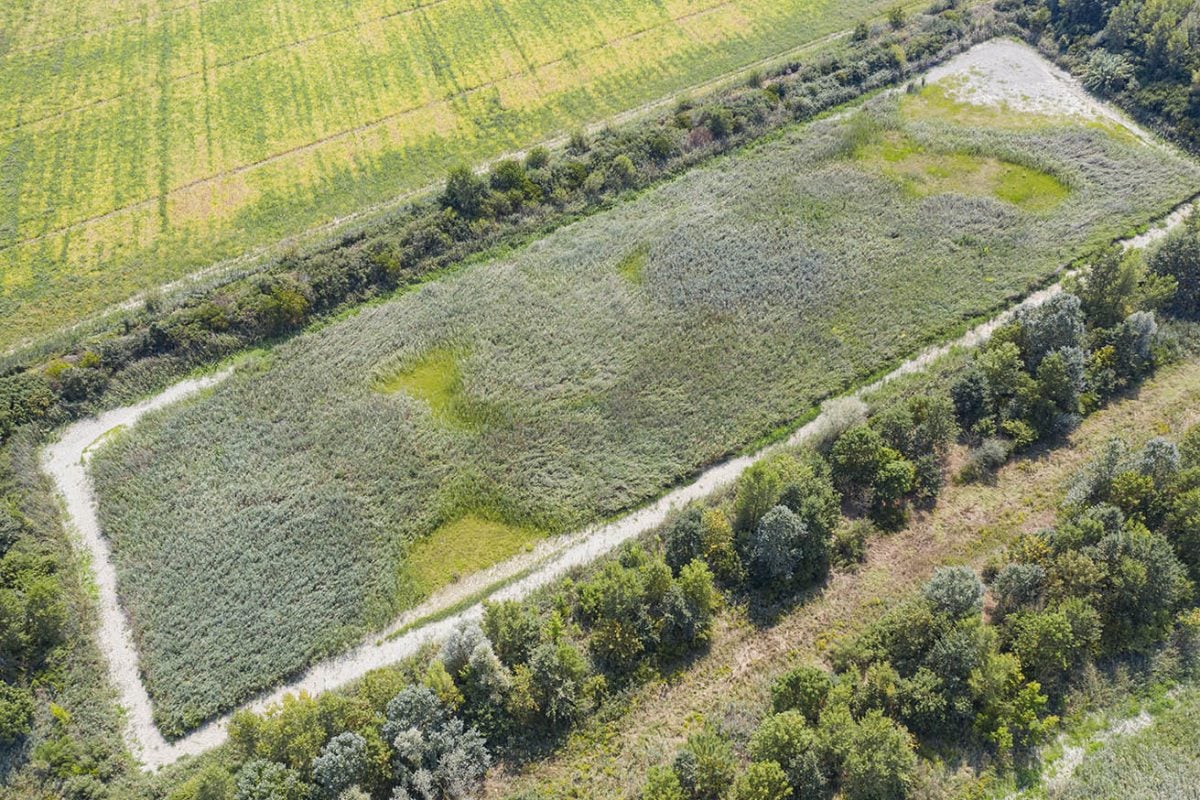 Along the Lamone River | Former sugar factory’s basins