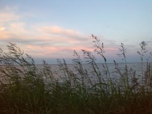 [ParlamiditER] Romagna: la mia vita itinERante