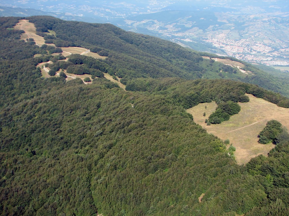 Borgotaro Porcini Mushroom Emilia-Romagna