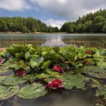 Lago Calamone, Parco Appennino Tosco Emiliano | Ph. Carlo Alberto Conti WLE2019