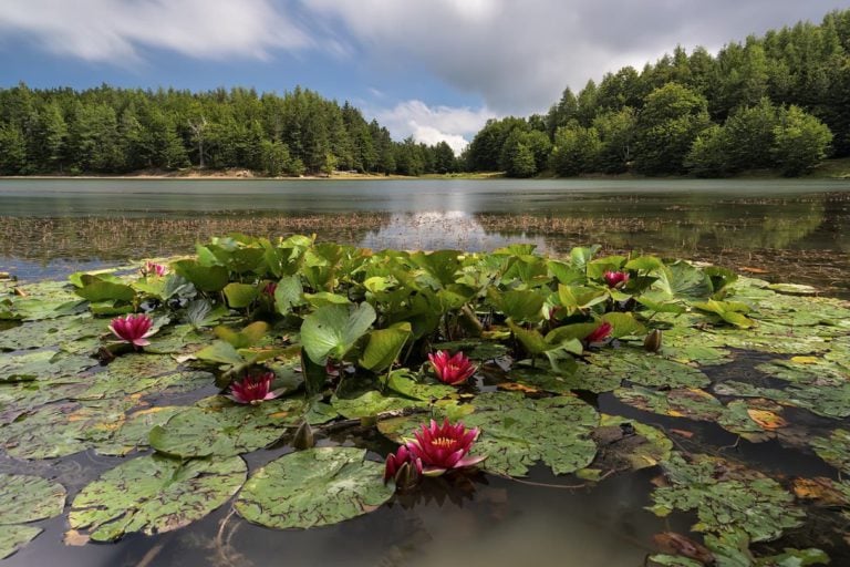 The Natural Protected Areas of Emilia Romagna