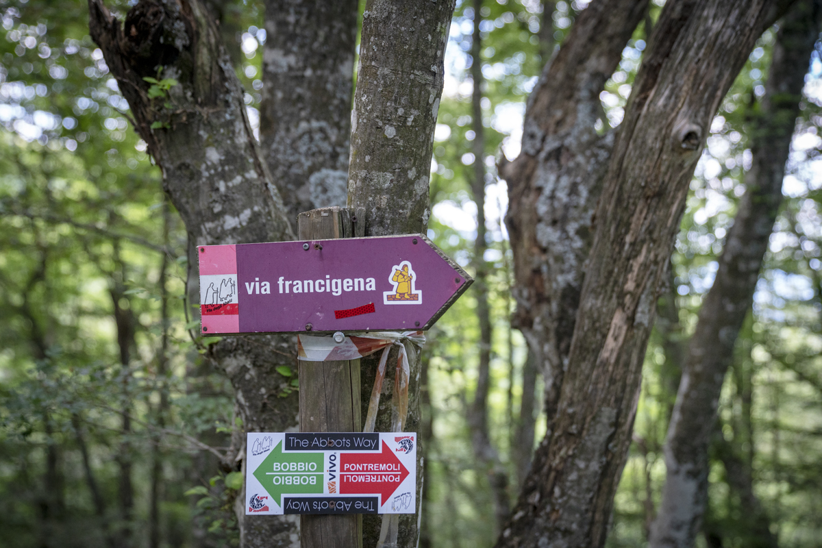 Via degli Abati, incrocio Via Francigena | Ph. TheCrowdedPlanet